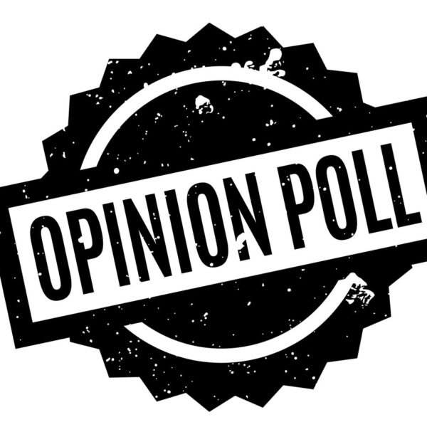 What Opinion polls shows before Elections 2024?